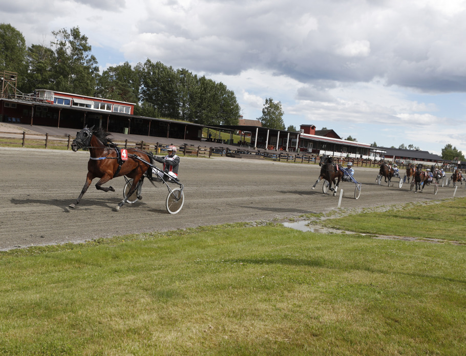 Garca mål-1.jpg