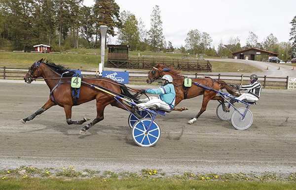 OMEntertainnyou-mål0516.jpg
