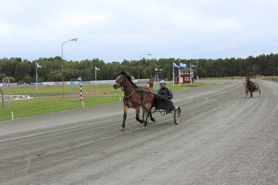 Hasslekrokens Pigg.jpg