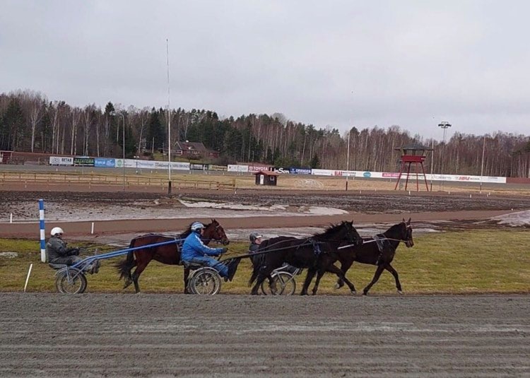 SÅ2.jpg
