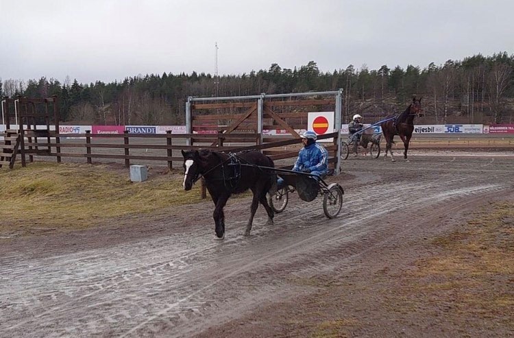 SÅ3.jpg