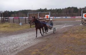 SÅ4.jpg